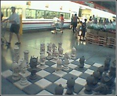 Chess2Jpg.jpg