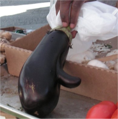 Eggplant1Close.jpg