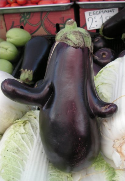 Eggplant2.jpg