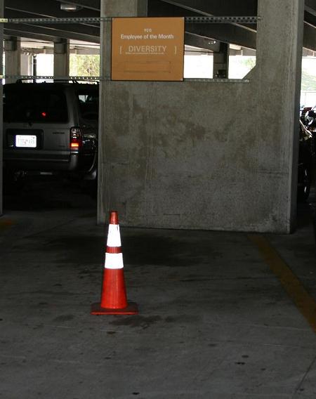 The Diversity Cone of Shame.JPG